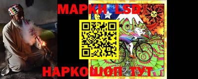 spice Владимир