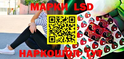 индика Владивосток