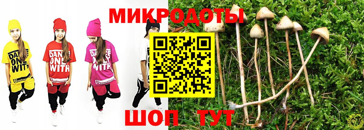 Псилоцибиновые грибы ЛСД Братск